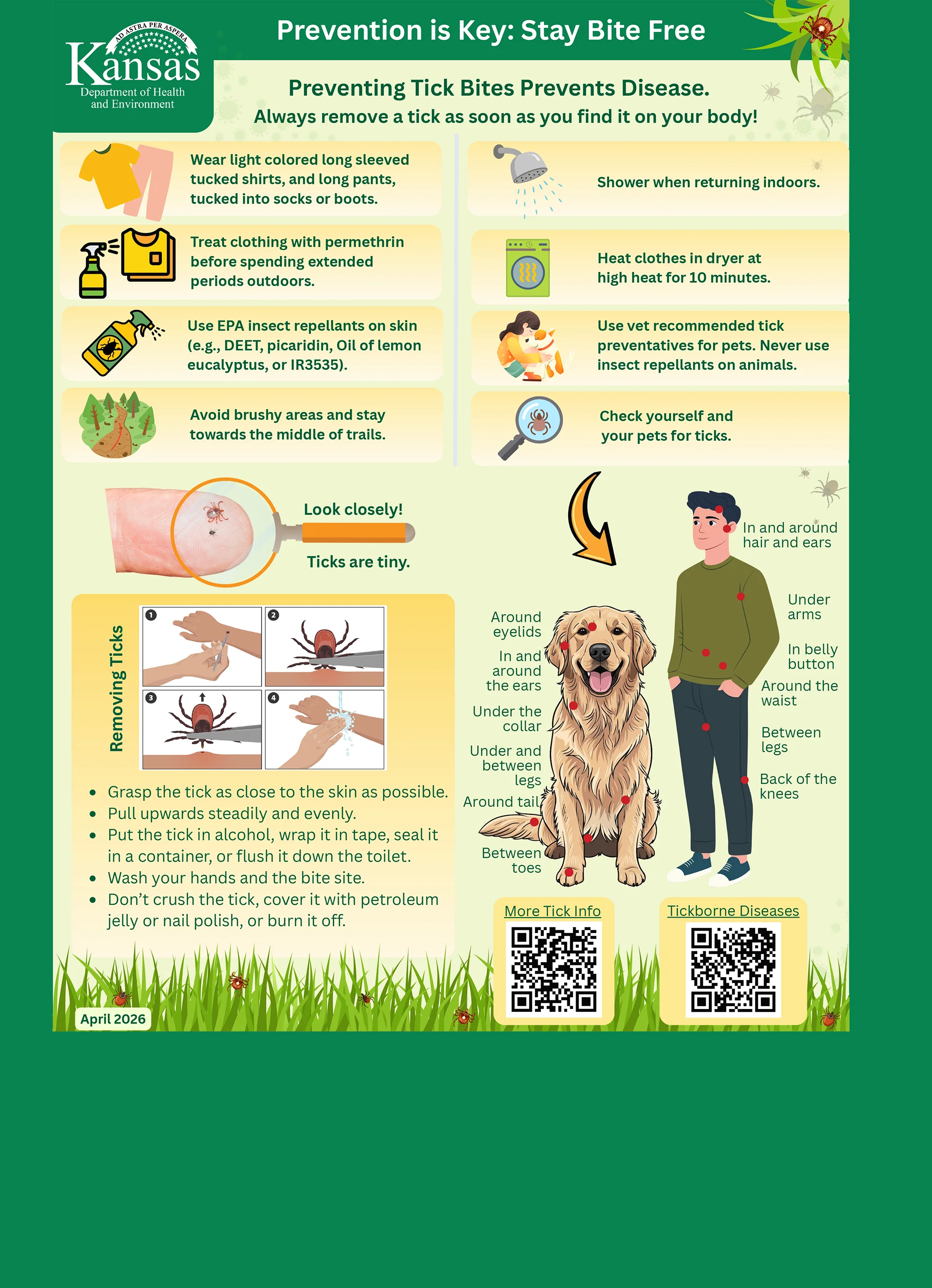 Kansans Urged to Take Steps to Prevent Tick Bites as Warmer Weather Approaches - News Image